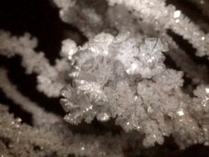 Snøkrystaller på en grein