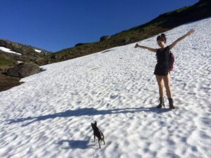 Dame og hund går på snøen en sommerdag