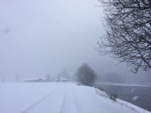 Tåken ligger over Korgen Camping