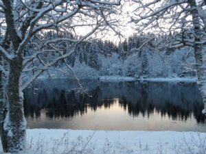 Skogen speiler seg i elva Røssåga en vinterdag