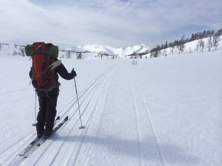 Olof på skitur